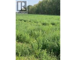 Portion Of Ne 2 74 9 W6 & Nw 2 74 9 W6, La Glace, AB T0H2J0 Photo 26