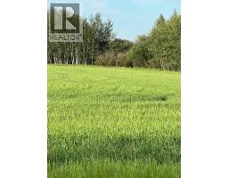 Portion Of Ne 2 74 9 W6 & Nw 2 74 9 W6, La Glace, AB T0H2J0 Photo 18