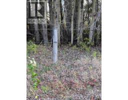 Portion Of Ne 2 74 9 W6 & Nw 2 74 9 W6, La Glace, AB T0H2J0 Photo 13