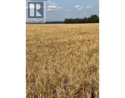 Portion Of Ne 2 74 9 W6 & Nw 2 74 9 W6, La Glace, AB T0H2J0 Photo 23