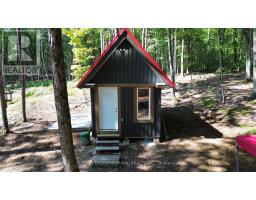 1135 Ross Lake Road, Dysart Et Al, ON K0M1S0 Photo 16