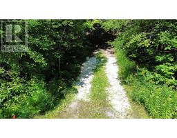 1135 Ross Lake Road, Dysart Et Al, ON K0M1S0 Photo 22