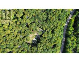 1135 Ross Lake Road, Dysart Et Al, ON K0M1S0 Photo 6