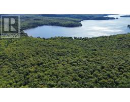 1135 Ross Lake Road, Dysart Et Al, ON K0M1S0 Photo 8