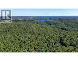 1135 Ross Lake Road, Dysart Et Al, ON K0M1S0 Photo 9