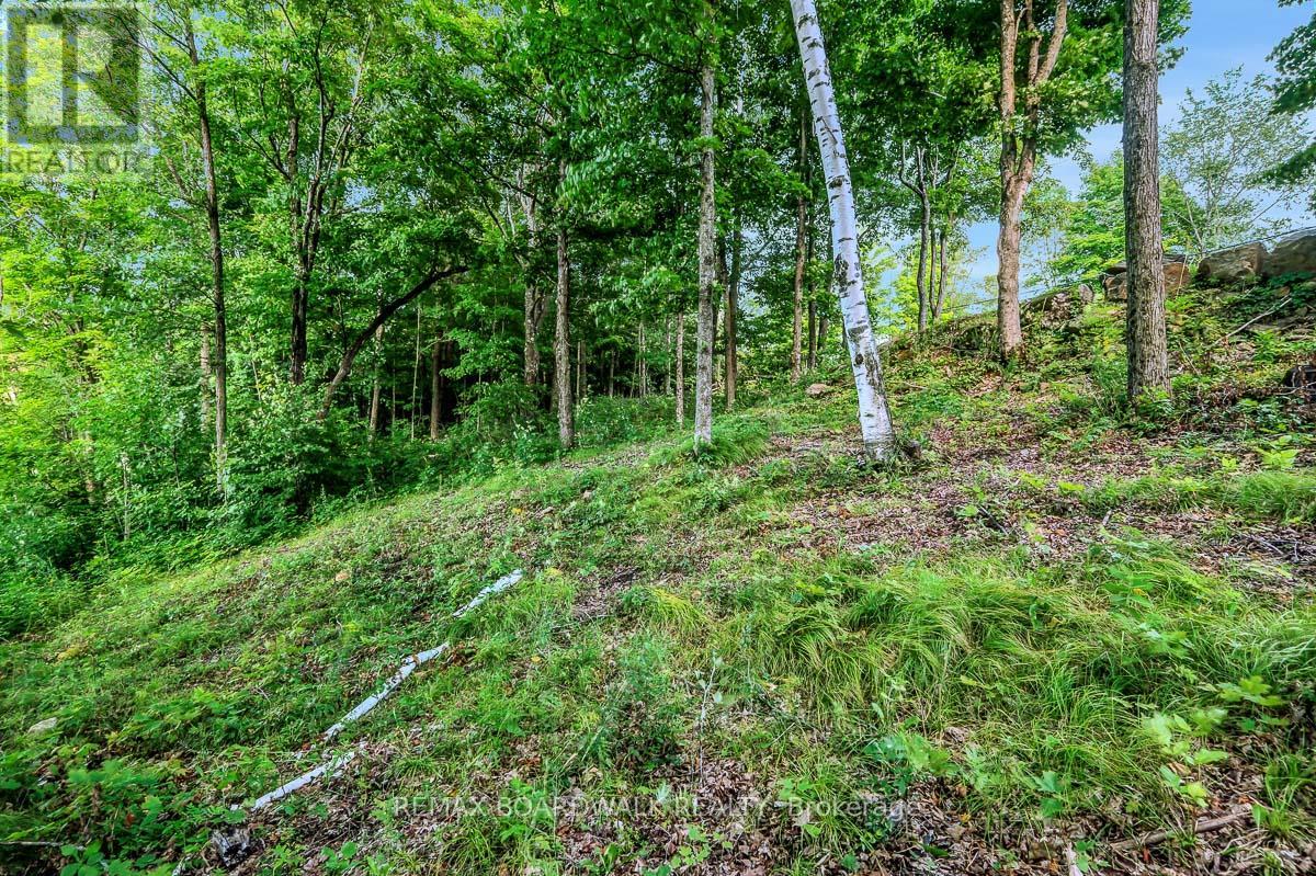 790 Ennis Road — photo 23