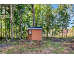 790 Ennis Road, Tay Valley, ON K0G1A0 Photo 15