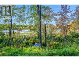 790 Ennis Road, Tay Valley, ON K0G1A0 Photo 24