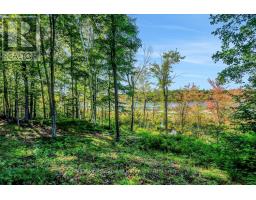 790 Ennis Road, Tay Valley, ON K0G1A0 Photo 25