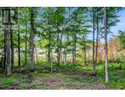 790 Ennis Road, Tay Valley, ON K0G1A0 Photo 26