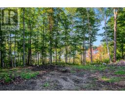 790 Ennis Road, Tay Valley, ON K0G1A0 Photo 27