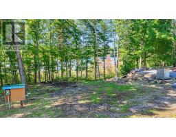 790 Ennis Road, Tay Valley, ON K0G1A0 Photo 7