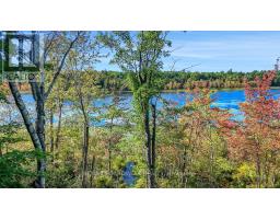 790 Ennis Road, Tay Valley, ON K0G1A0 Photo 8