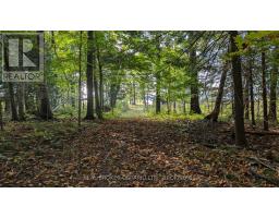 N/a Concession 3 Road, North Glengarry, ON K0C2J0 Photo 12
