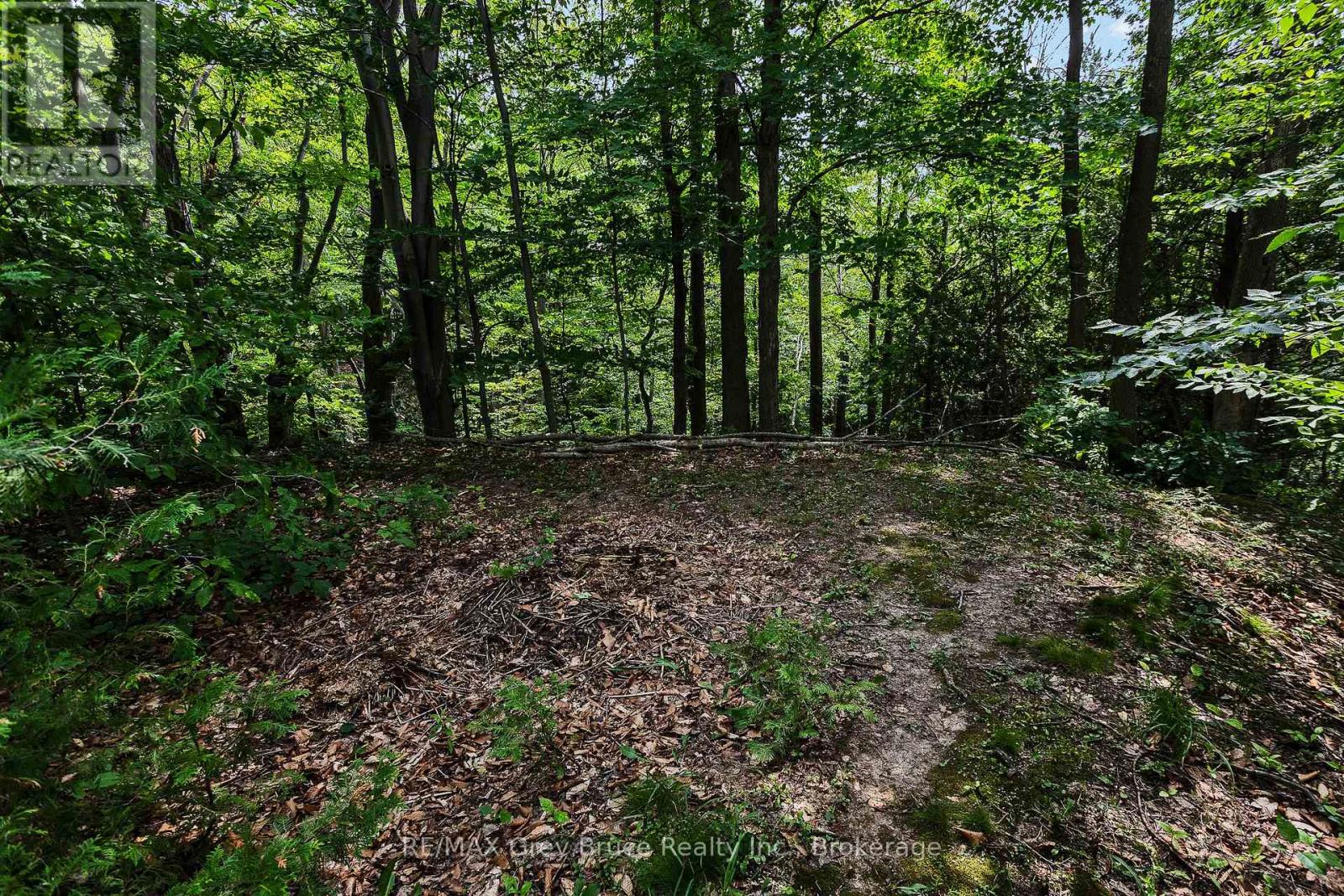 336 6TH AVENUE E, Owen Sound — photo 7