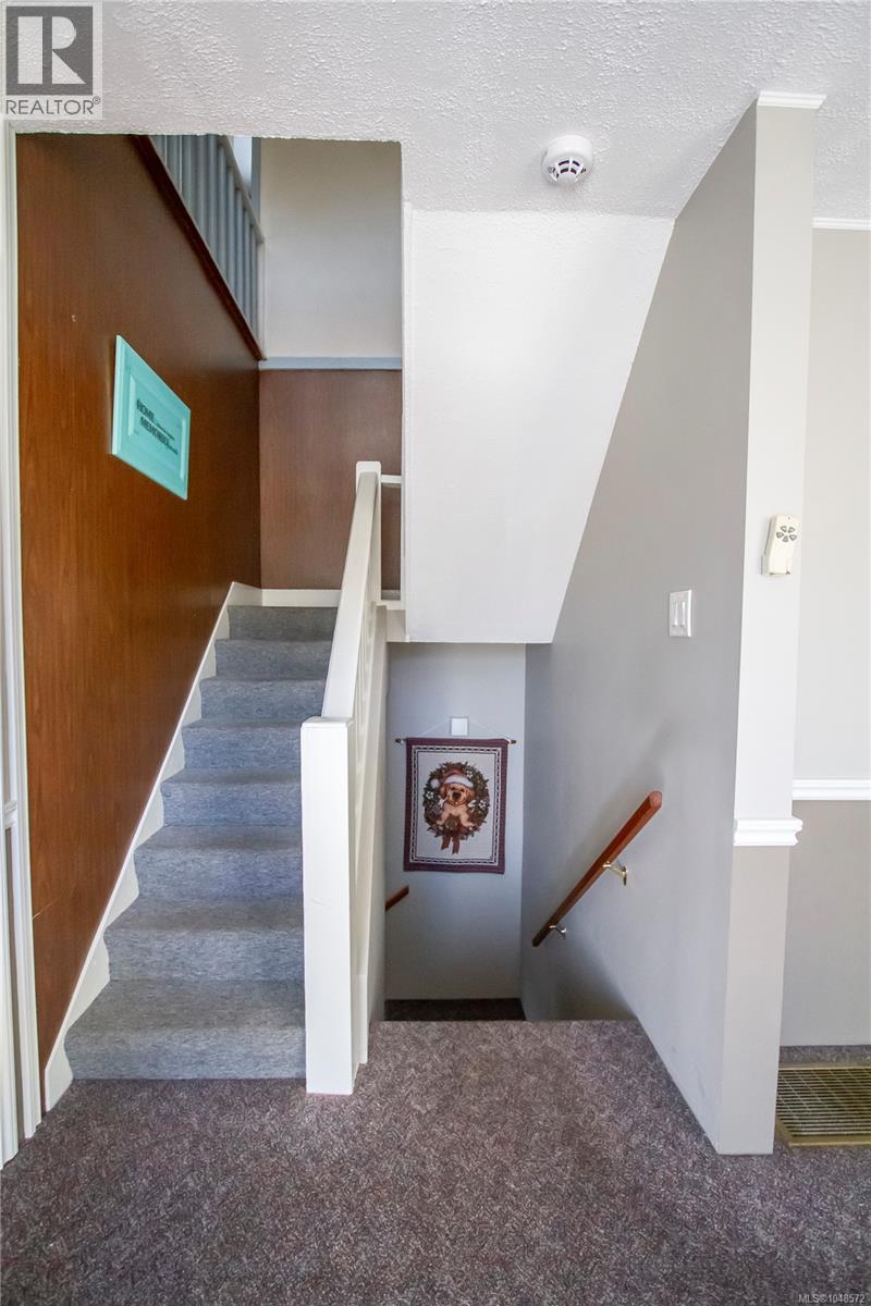 4671 Argyle St - Image 14