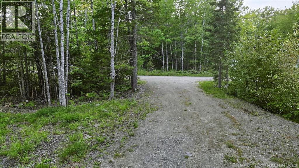 12 Thorne Brook Road - Image 6