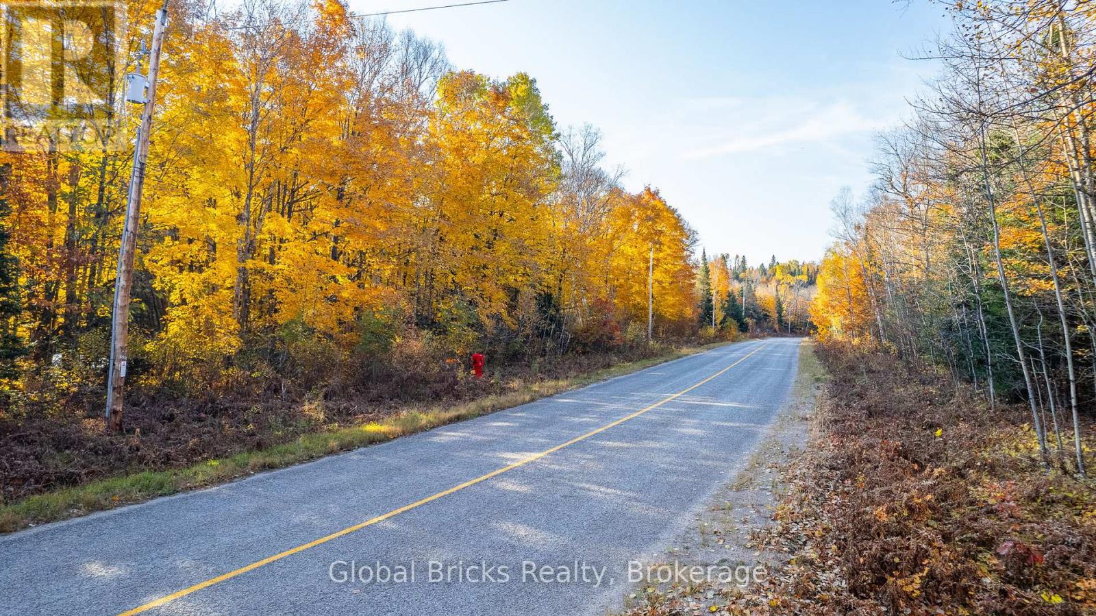 0 Kawagama Lake Road, Algonquin Highlands, ON photo 7