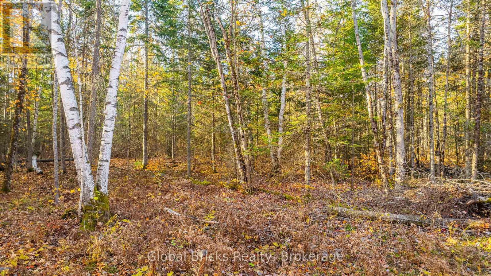 0 Kawagama Lake Road, Algonquin Highlands, ON photo 9