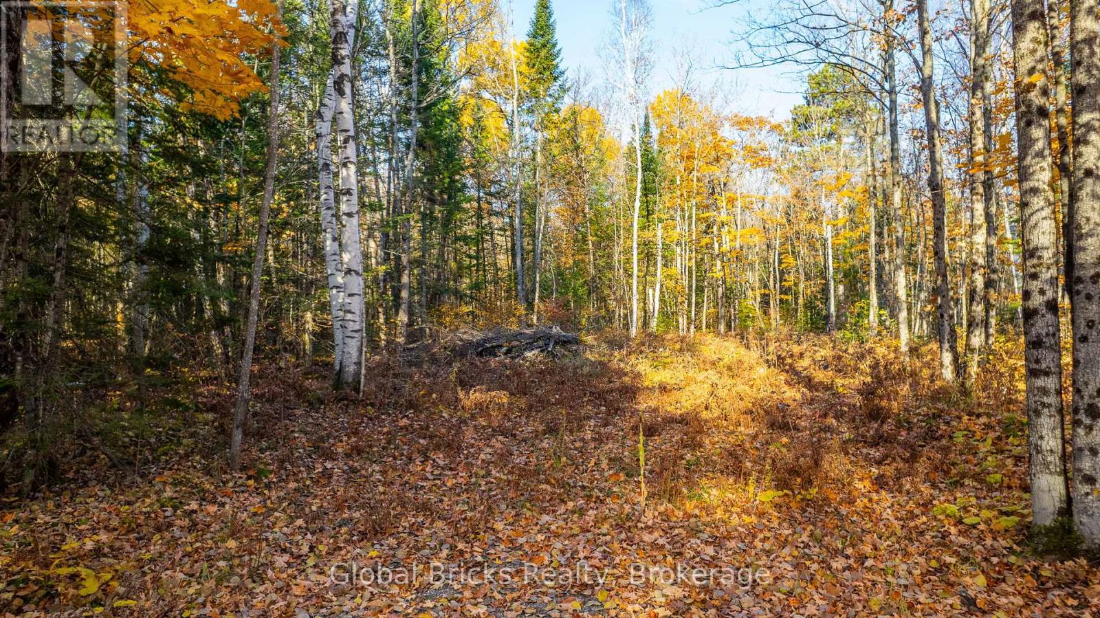 0 Kawagama Lake Road, Algonquin Highlands, ON photo 8