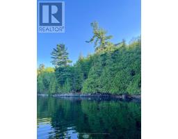 11 Hay Island E, Kenora, ON P0X1H0 Photo 10