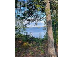 11 Hay Island E, Kenora, ON P0X1H0 Photo 6