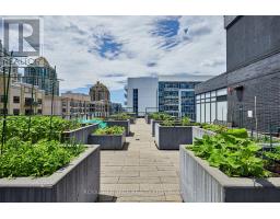 204 - 18 Rean Drive, Toronto, ON M2K0C7 Photo 27