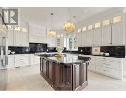 Kitchen - 19 Michigan Drive, Toronto, ON M2M3H9 Photo 14
