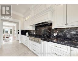 Laundry room - 19 Michigan Drive, Toronto, ON M2M3H9 Photo 15