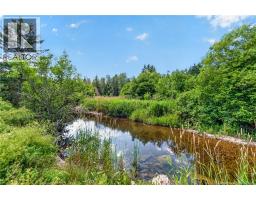 397 Route 895, Elgin, NB E4Z2L4 Photo 24