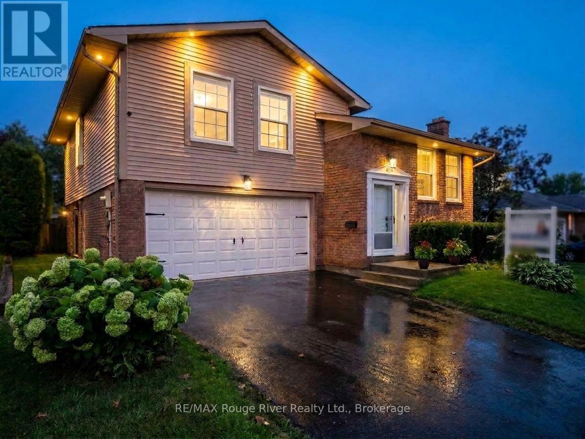 117 PINE HILLS ROAD - 3