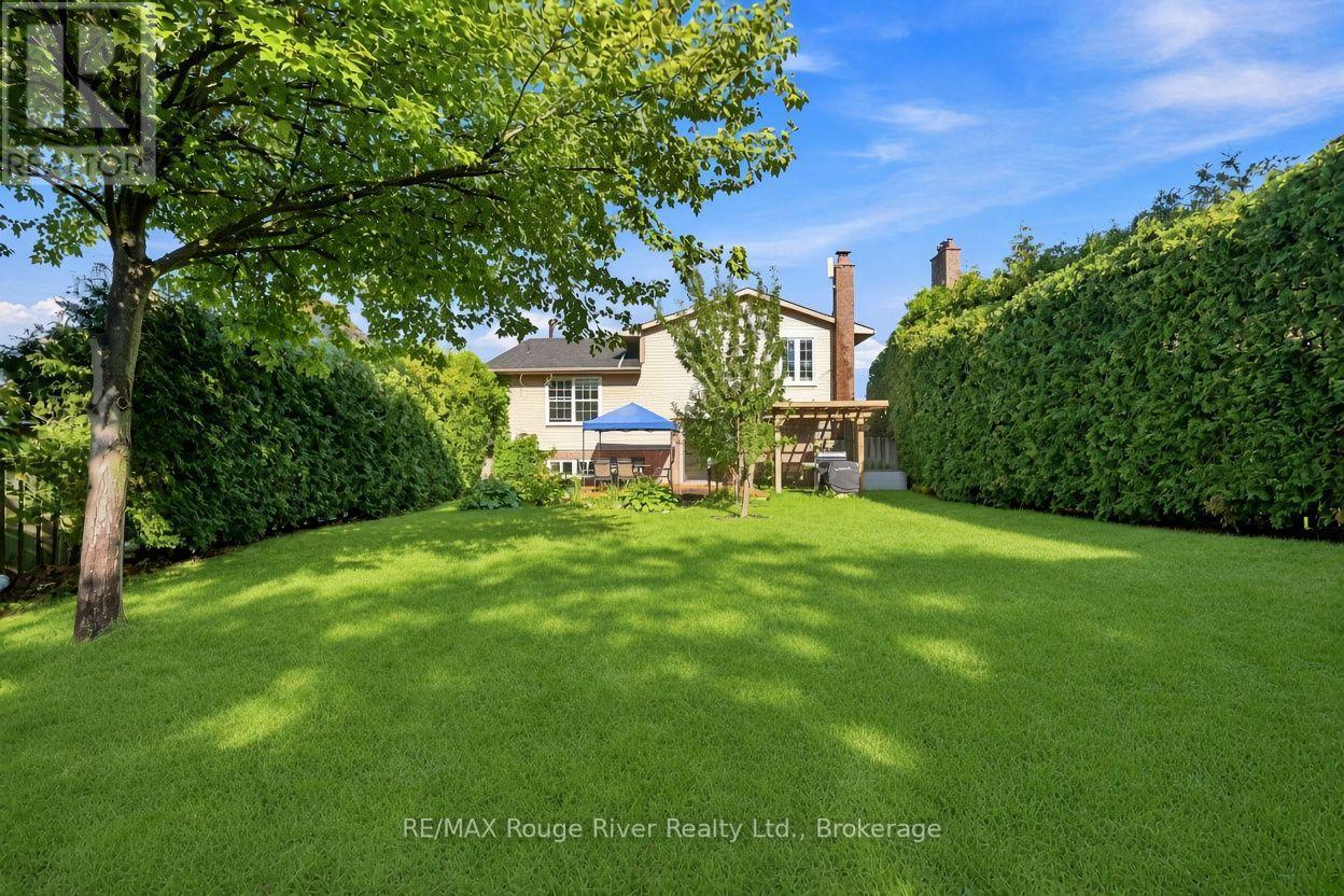 117 PINE HILLS ROAD - 48