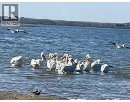 606 Pigeon Close, Pelican Point, AB T0B0H0 Photo 46