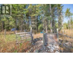 180 Selkirk View Road, Edgewood, BC V0G1J0 Photo 60
