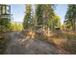 180 Selkirk View Road, Edgewood, BC V0G1J0 Photo 45