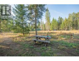 180 Selkirk View Road, Edgewood, BC V0G1J0 Photo 54