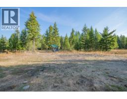 180 Selkirk View Road, Edgewood, BC V0G1J0 Photo 58