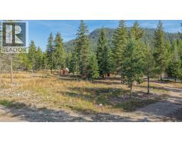 180 Selkirk View Road, Edgewood, BC V0G1J0 Photo 65