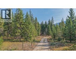 180 Selkirk View Road, Edgewood, BC V0G1J0 Photo 68