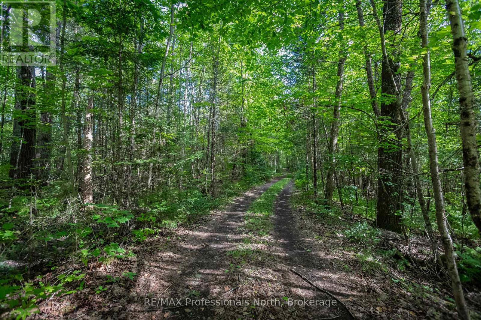 1547 NORTH PICKEREL LAKE ROAD - Image 33
