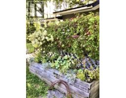 310 Mountain View Road, Mcbride, BC V0J2E0 Photo 27