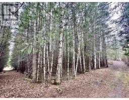 310 Mountain View Road, Mcbride, BC V0J2E0 Photo 22