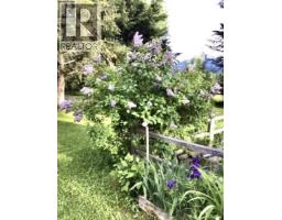 310 Mountain View Road, Mcbride, BC V0J2E0 Photo 26