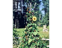 310 Mountain View Road, Mcbride, BC V0J2E0 Photo 28