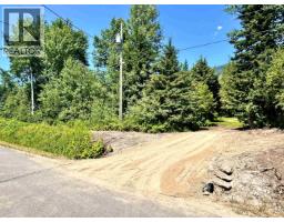 310 Mountain View Road, Mcbride, BC V0J2E0 Photo 34
