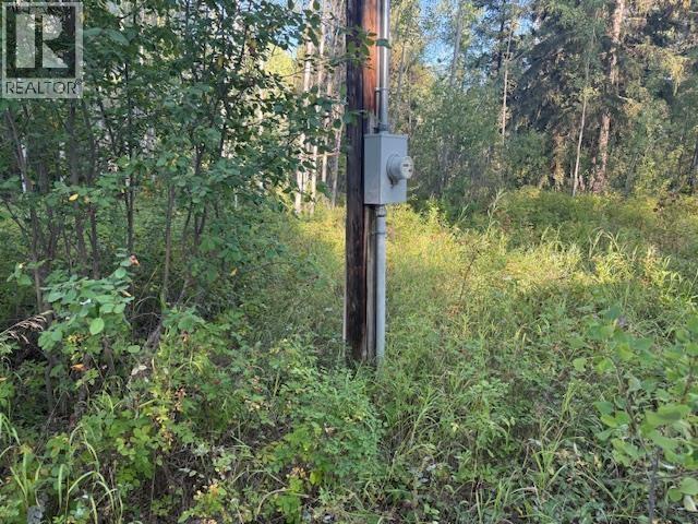 23803 WALCOTT Road, Telkwa