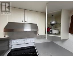 Lower - 229 Zelda Crescent, Richmond Hill, ON L4C2Y7 Photo 10