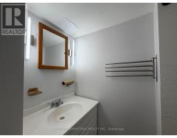 Lower - 229 Zelda Crescent, Richmond Hill, ON L4C2Y7 Photo 15