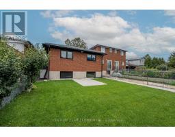 B - 31 Mariposa Avenue, Toronto, ON M6N4A1 Photo 19