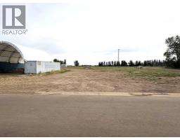 4708 43 Avenue, Forestburg, AB T0B1N0 Photo 10